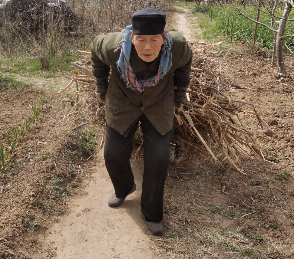 【江山·风景线】【丁香】一位拾柴的老人（散文）