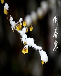 凭什么？