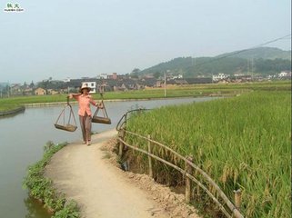 乡村里的女人