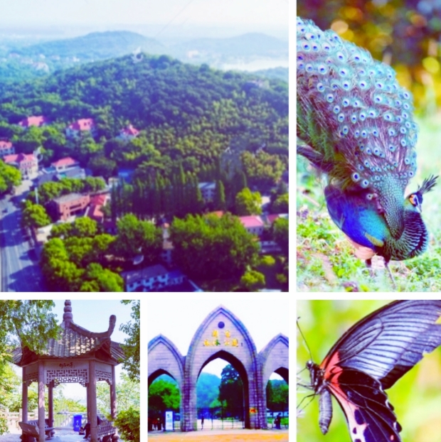 【天涯】秋游东佘山〔散文〕