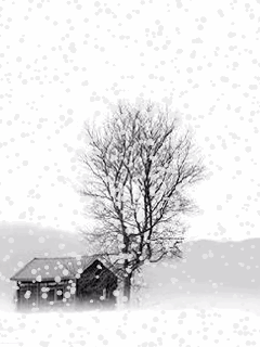 【江山·耕耘】【流年】时光书：雪的断章（散文）