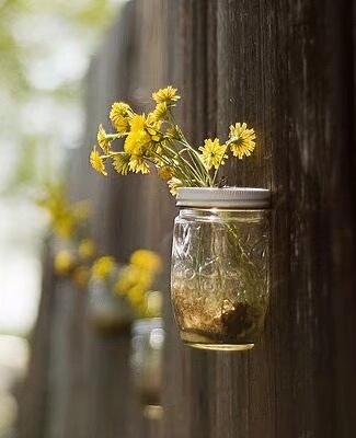 【流年·如梦令】落花的窗台（征文·散文）