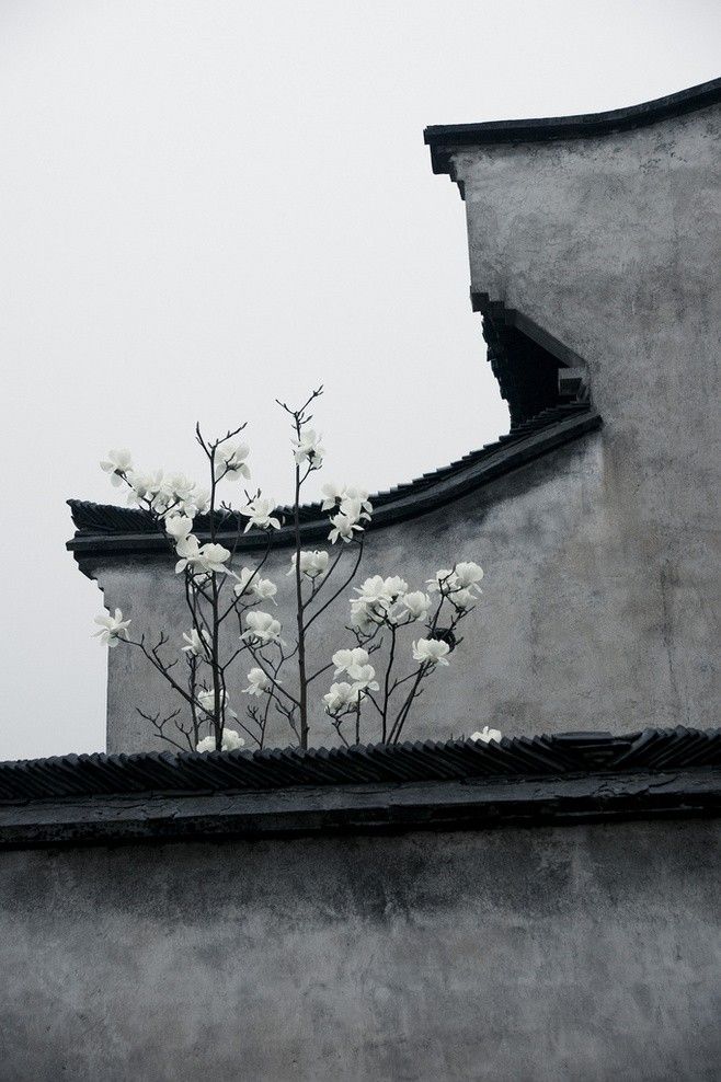 【流年·旧】乌镇，风景旧曾谙（征文·散文）