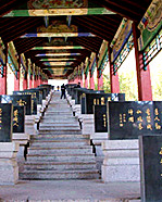 【浪花】圣水观•银杏树•将军碑廊（散文）