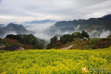 【萌芽春天】云雾山顶（外一首）