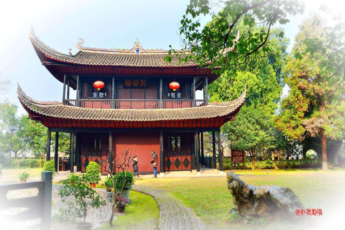 【荷塘】再见吧，我的心上美人（散文）