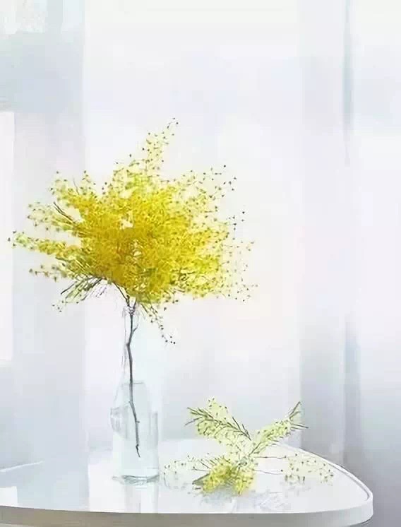 【流年】次韵长虹漫兴十首（古韵）