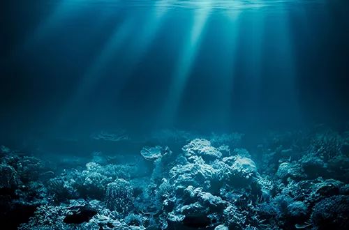 【丁香. 祝福丁香】海南记（组诗之十）