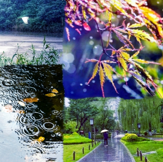 【天涯】秋日话秋雨（散文）