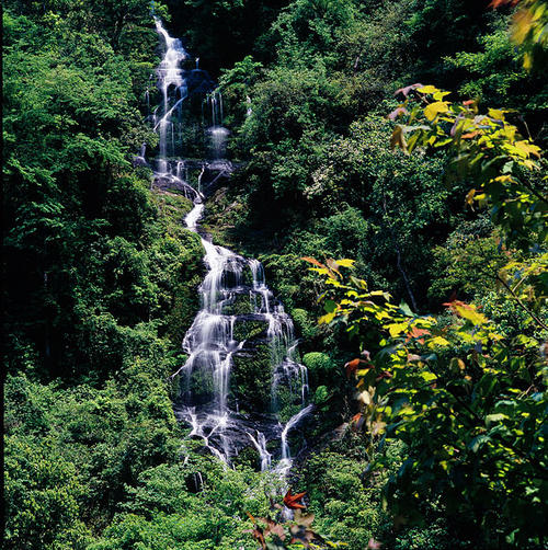 【八一】心中的那座山（散文）