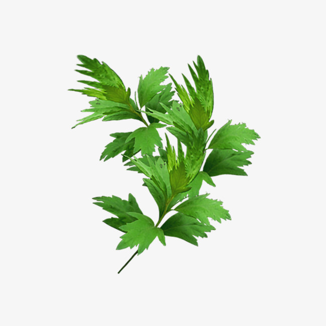 【八一】害羞（组诗）