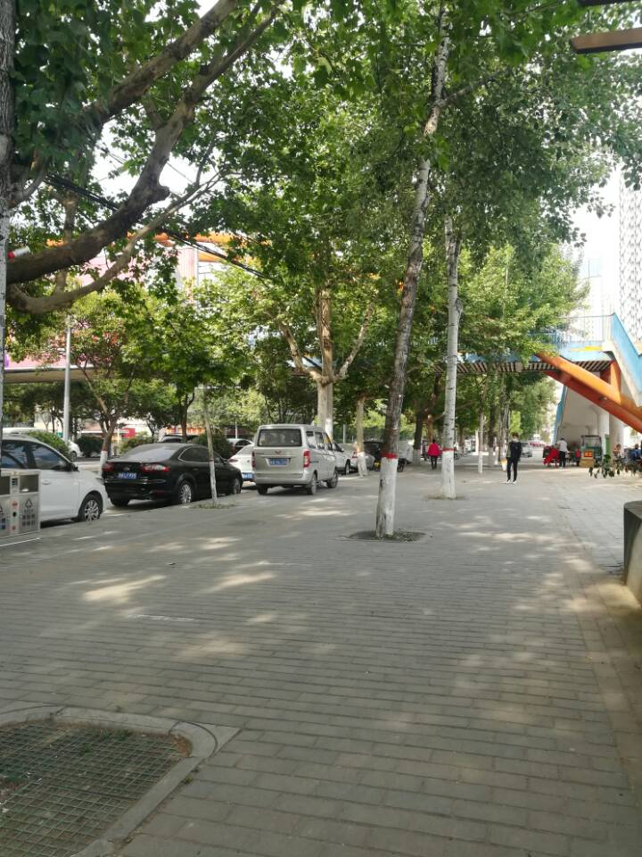 【丁香】碰瓷（小说）