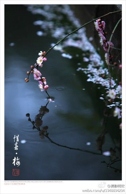 【流年】一朵梅的心事（外二首）