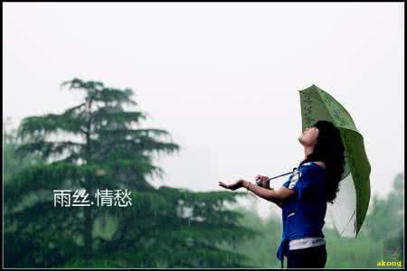 风穿过雨丝