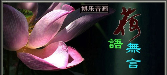 【荷塘】荷无言，莲子有心（散文）