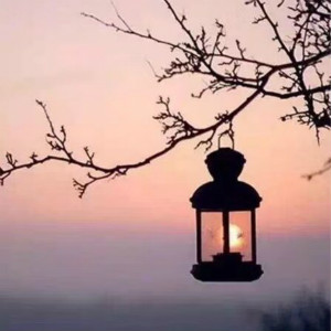 【如云】在路上，为自己点灯取暖（组诗）