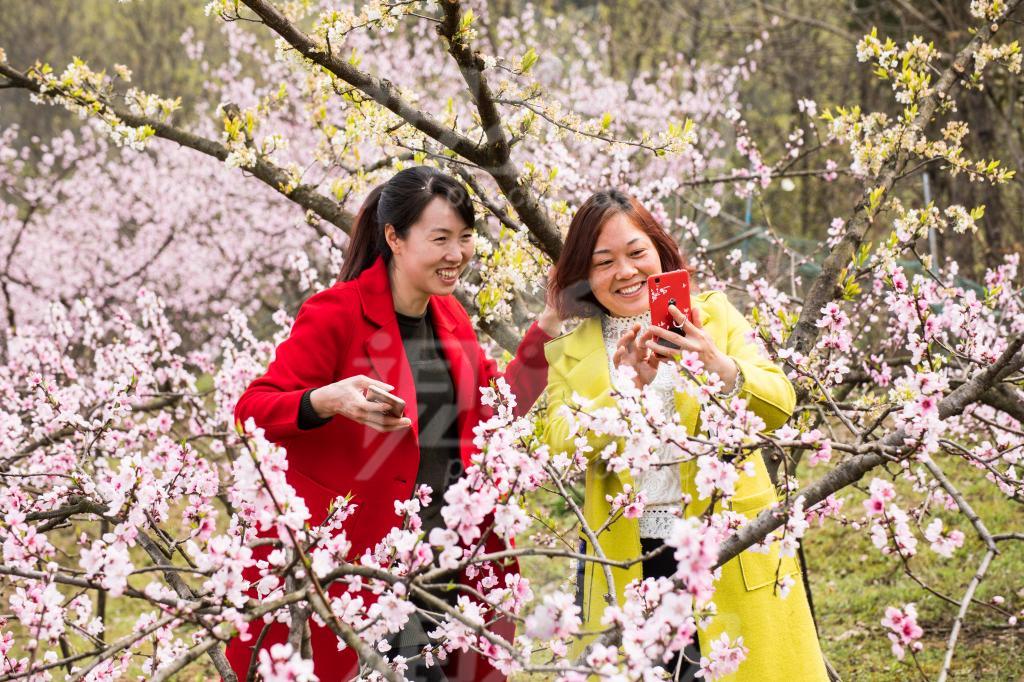 【丁香•祝福祖国】古老的莲花村（散文）