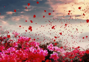 【轻舞】樱花（外二首）