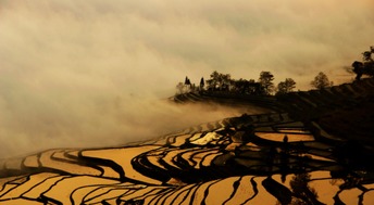 【八一•恩】爹娘在，家就在（散文）