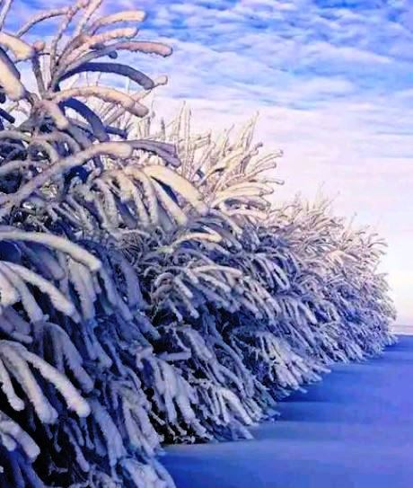 【天涯】今夜有雪，请多保重（诗歌）