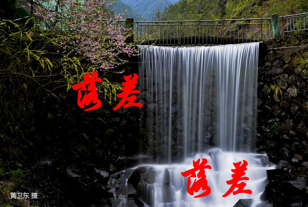 【丁香花语】落差（散文）