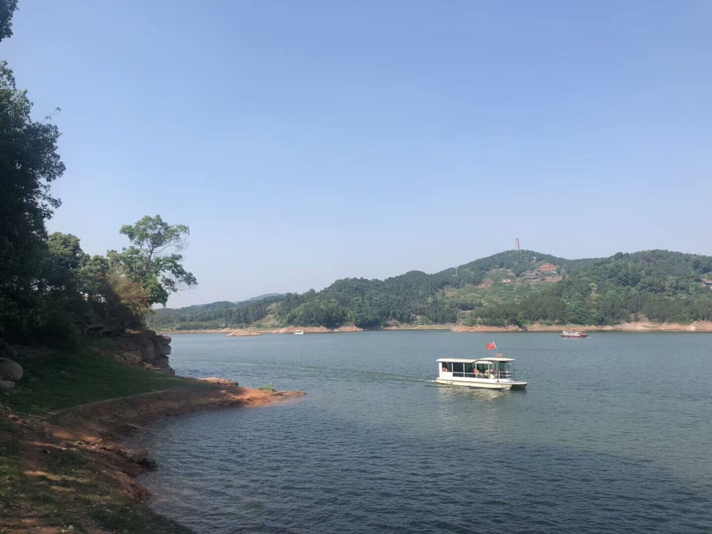 【看点·新生】夏风，从枝头荆棘穿过（外四首）