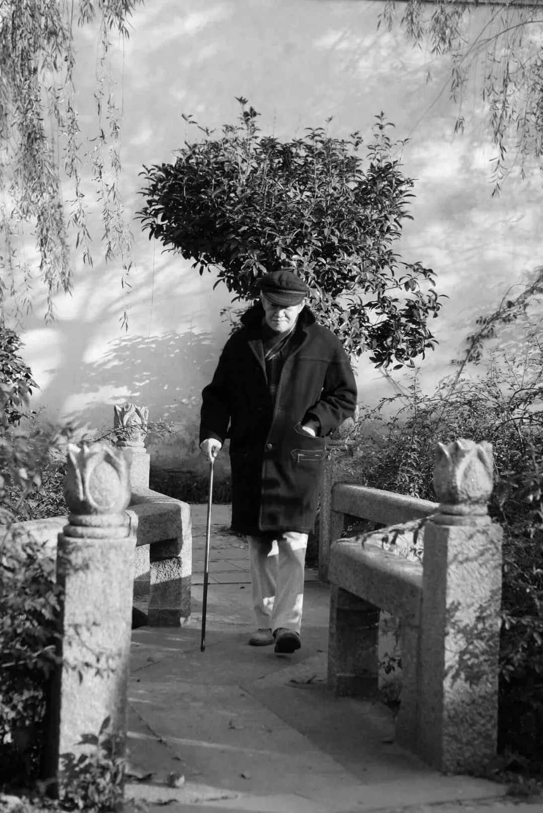 【江山·根与魂】【流年】时光书：像雪花飘下来那般爱你（散文）