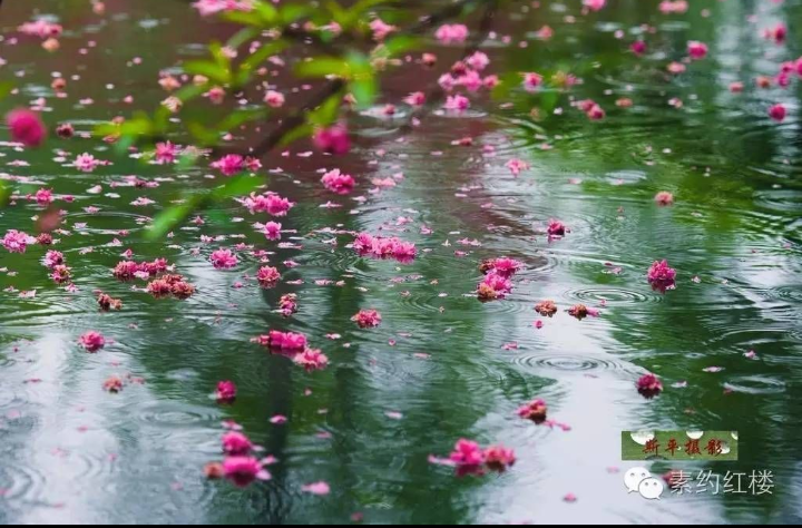 【八一】听雨（散文·家园）