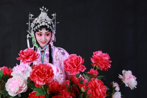 【丁香】我的秦腔情怀（散文）