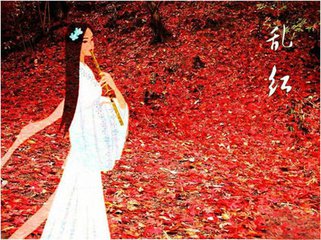 【星月】乱红（散文）