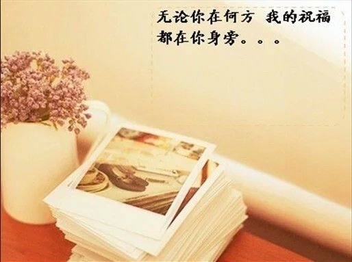 【丁香】殷殷问候情（散文）