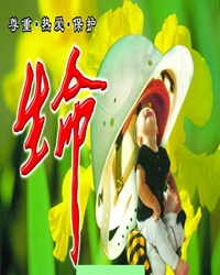 道德底部和人性背面（杂文）