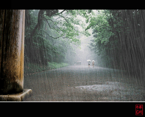 【丁香.祝福丁香】重阳雨翠屏（外一篇）（散文）