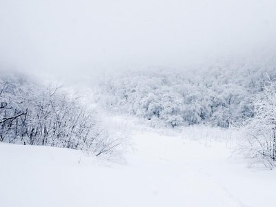 【宁静】雪之外（诗歌）