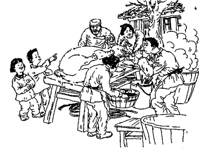 【荷塘“冬之恋曲”征文】杀年猪（散文）