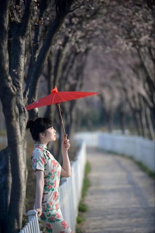 【丁香•守望花开】读你(散文）