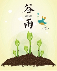 我所知道的乡村之谷雨