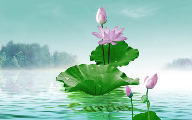 【八一】枕花而眠（散文）