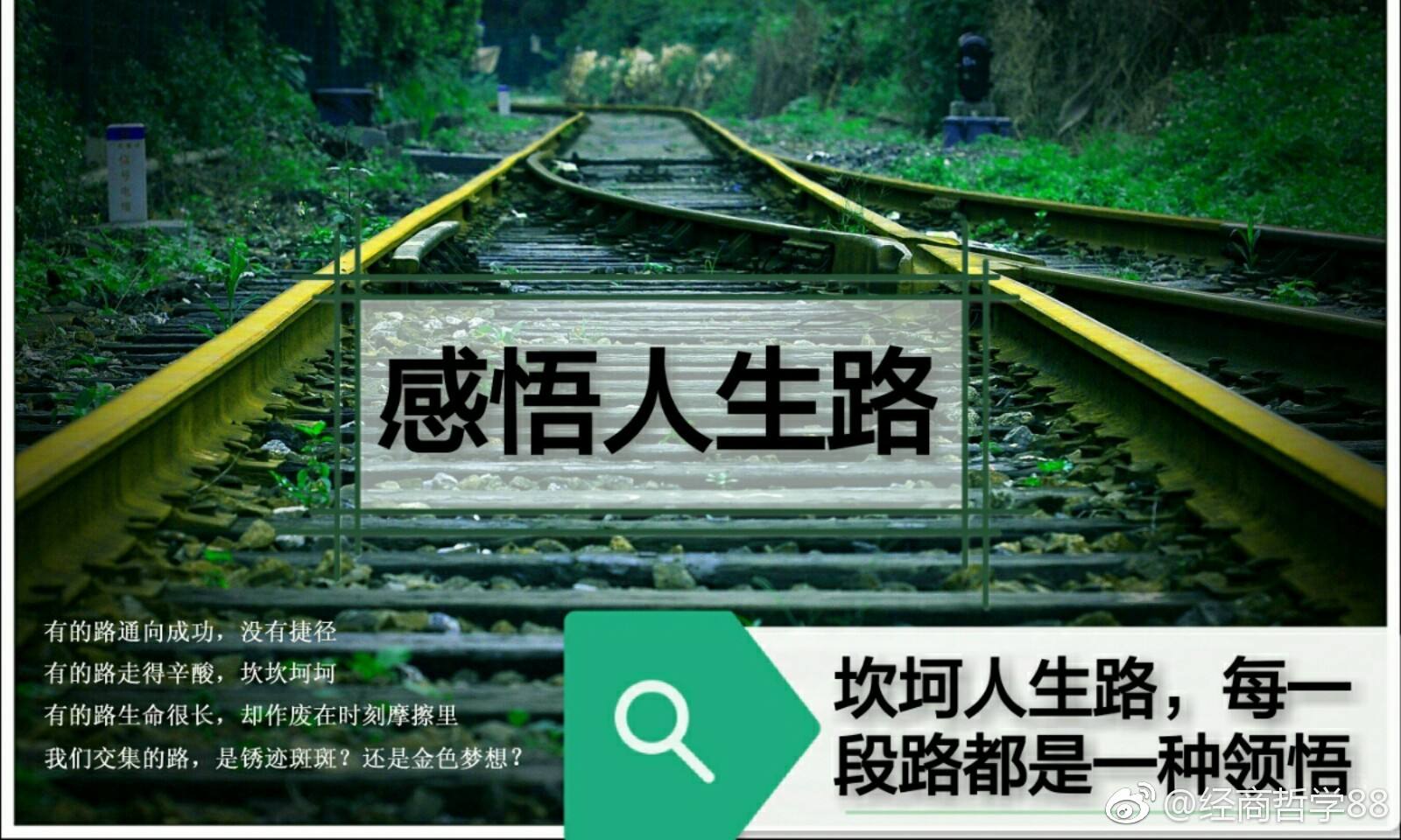【荷塘】人生如路（随笔）