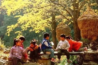 【八一】时光记忆1998（随笔·家园）