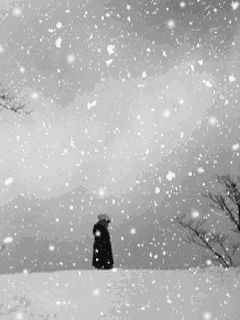 【看点】下雪了（散文）