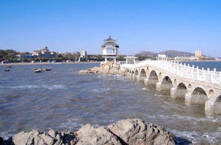 【八一】我游兴城（随笔·旗帜）