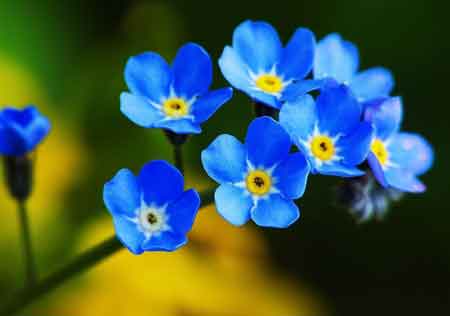 【丁香花语】远去的岁月（散文）