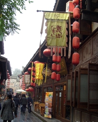 我去成都不是旅游