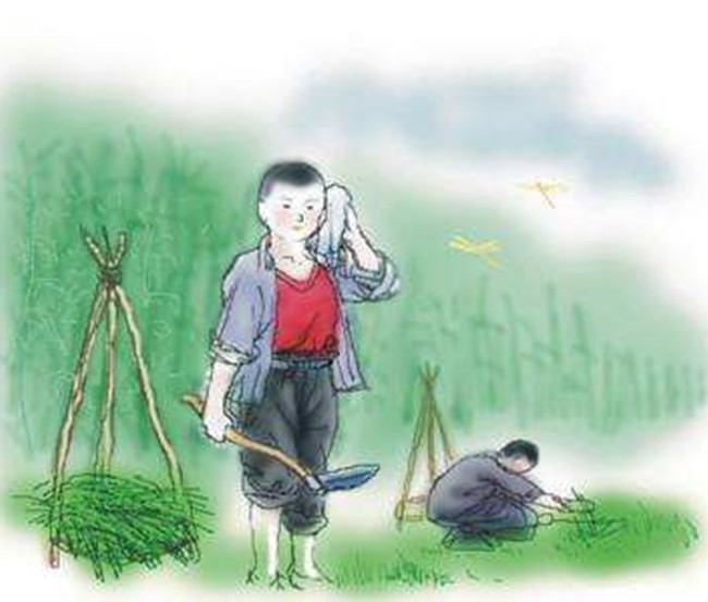 【八一】少年英雄马小星（微小说·家园）