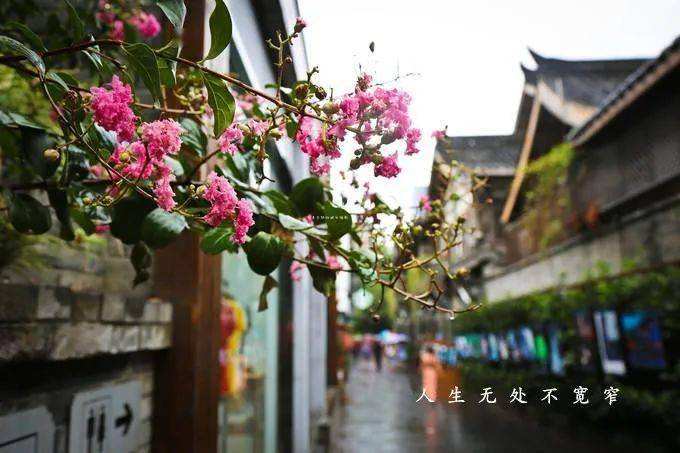 【菊韵】人生无处不宽窄赋（辞赋）