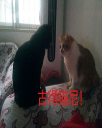 【看点•红尘】胖哥瘦弟二三事（散文）