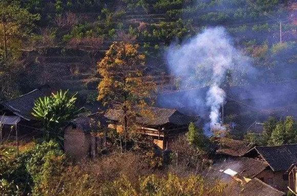 【摆渡】十一层（外二首）