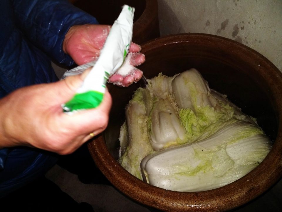 【荷塘“有奖金”征文】腌咸菜（散文）