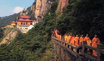 【八一】等你——在九子山（诗歌·家园）